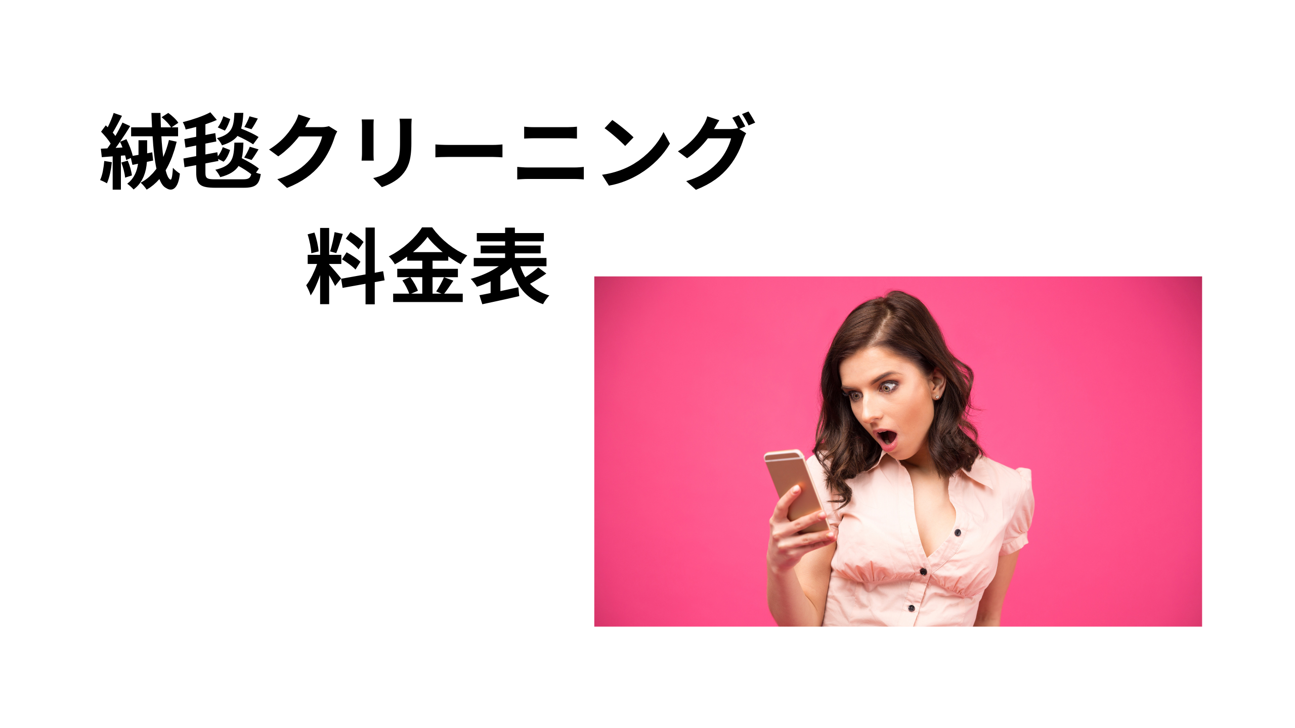 クリーニング料金