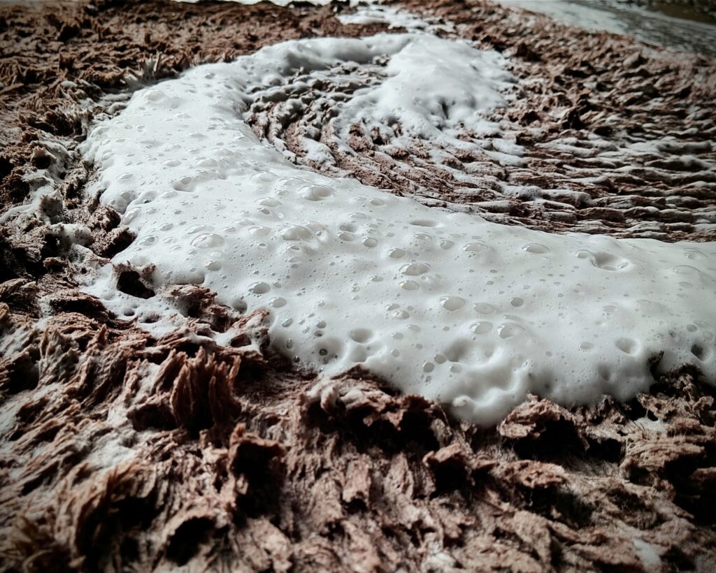 絨毯、馬着クリーニング